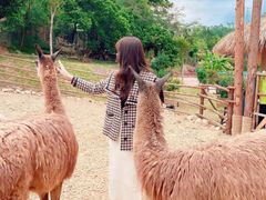 -泉州海丝野生动物世界