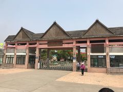 -上海都市菜园