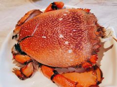 -上宴精品海鲜姿造(晶融汇旗舰店)