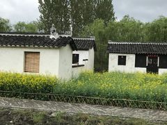 -溱湖国家湿地公园