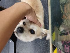 -CrossFit MET综合体能训练馆(朝阳路店)
