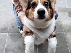 -李先生的首尔小馆(松江启源广场店)