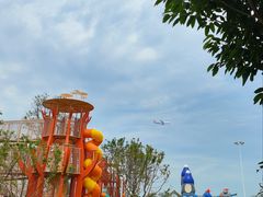 -空港花田景区
