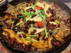 -老板恋上鱼(恒隆广场店)