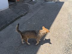 -卞嵊记老味道(嵊州总店)