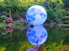 -深圳仙湖植物园