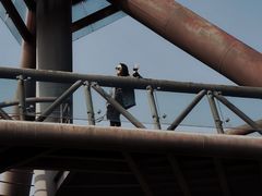 -贡湖湾湿地公园