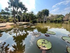 -中国科学院西双版纳热带植物园