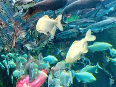 -波塞冬旅游度假区