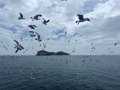 -海驴岛(荣成市)