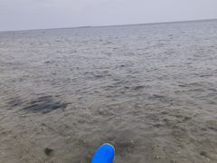 -北海金海湾红树林生态旅游区