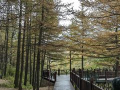 -驼梁风景区