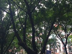 -南京医科大学(江宁校区)