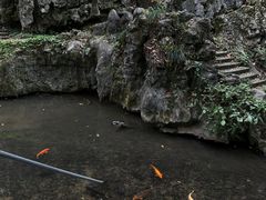 -灵隐飞来峰景区