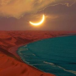 -薇兰专业脱毛连锁机构