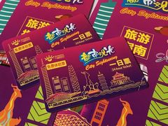 -广州都市观光巴士(粤陶巴)