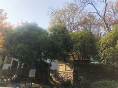-龙井壹号·茶缘山景宴(龙井村店)