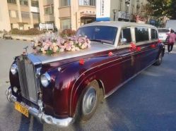 -蚂蚁婚车