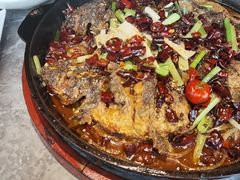 -老板恋上鱼(恒隆广场店)