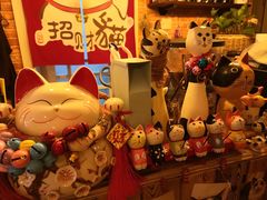 -名猫咖啡馆·撸猫·拼豆