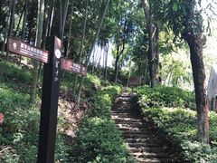 -莫干山风景区
