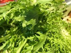苦苣-龍歌自助小火锅(市南金茂湾店)