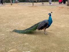 -杭州野生动物世界