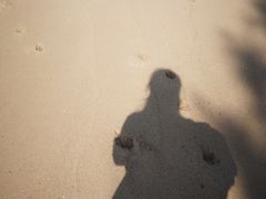 -广东惠东海龟国家级自然保护区