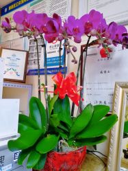 -痘博士北京·全国连锁祛痘机构