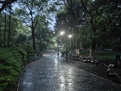 -临平公园(临平街道)