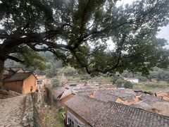-杨家堂村