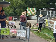 -神户市立六甲山牧场