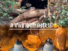 -香港海洋公园
