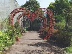 -广东花都香草世界旅游度假区