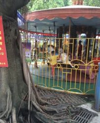 -顺德大良半月城游乐场