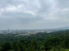 -白水寺森林公园