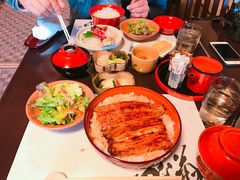 -料亭菊水楼