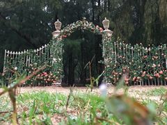 -玫瑰海岸文化旅游度假区