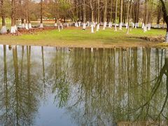 -白塘生态植物园