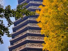 -玲珑塔公园