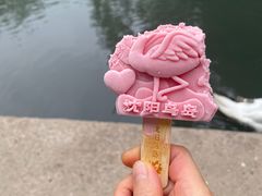 -沈阳鸟岛