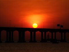 -宝安西湾红树林湿地公园