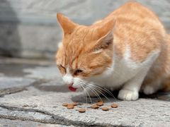 -终南山南五台景区