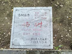 -龙王庙行宫