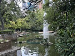 -九龙公园