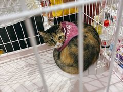 -远洋未来广场(育慧北路店)