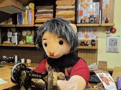 -济州岛泰迪熊博物馆