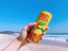 -汕尾风车岛
