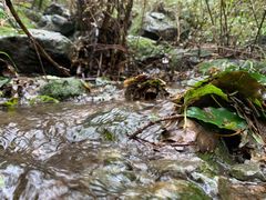 -阳台山自然风景区
