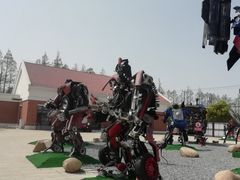 -上海长兴岛郊野公园